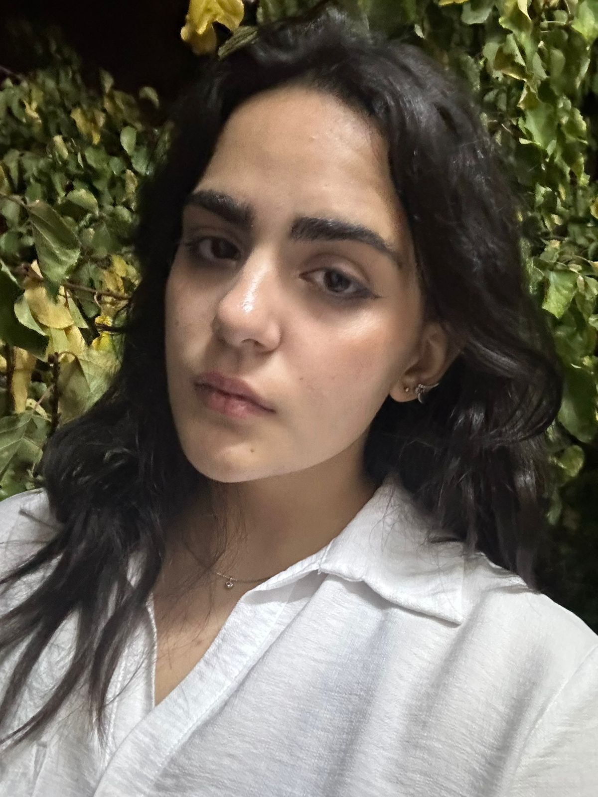 Ani, Maison Tuf, Yerevan